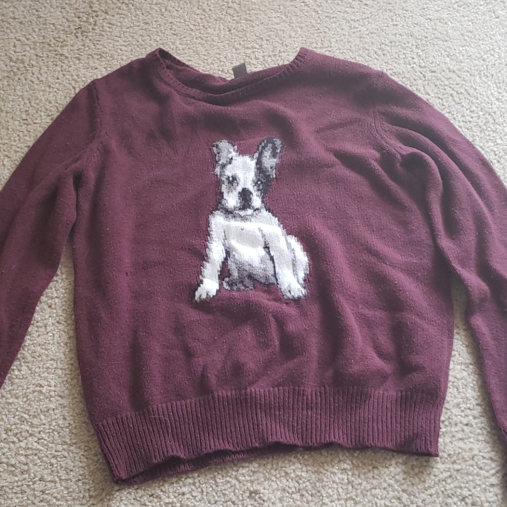 Maroon french bulldog sweater